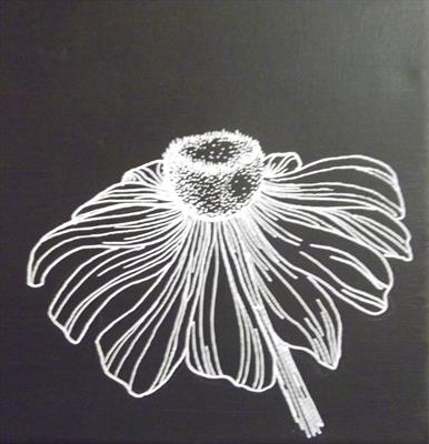 B/W Flower Series 2a