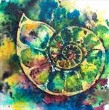 Ammonite Masqued by Wilma, Painting, Watercolour on Paper