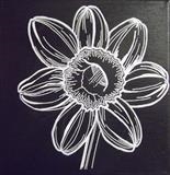 B/W Flower Series 2 by Wilma Seston, Drawing, Acrylic on canvas