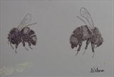 B/W Flower Series 5 by Wilma Seston, Drawing, Pen on Paper
