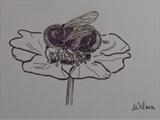 B/W Flower Series 6 by Wilma Seston, Drawing, Pen on Paper