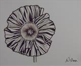 B/W Flower Series 6 by Wilma Seston, Drawing, Pen on Paper