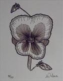 B/W Flower Series 7 by Wilma Seston, Drawing, Pen on Paper