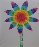 Rainbow Flower Series 2 by Wilma Seston, Painting, Acrylic on canvas