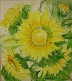 Sunflowers by Wilma Seston, Painting, Acrylic and Ink on canvas